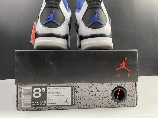 Retro (2017) Jordan 4 Motorsports 308497-117 1017